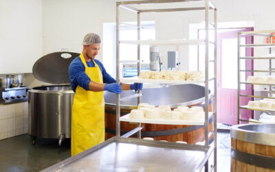 Microbiología de los alimentos para consumo humano y animal