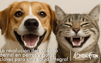 La revolución del cuidado dental en perros y gatos: claves para una salud integral
