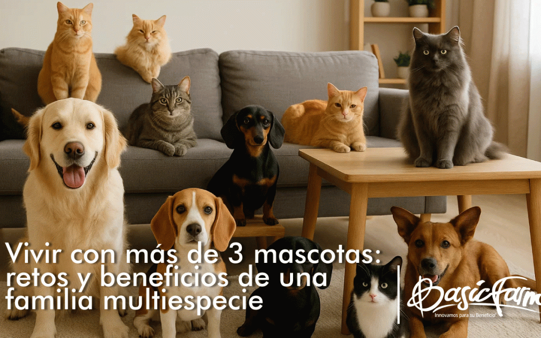 Vivir con más de 3 mascotas: retos y beneficios de una familia multiespecie