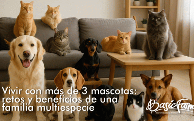Vivir con más de 3 mascotas: retos y beneficios de una familia multiespecie