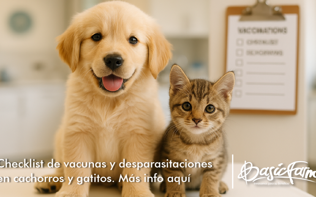 Checklist de vacunas y desparasitaciones en cachorros y gatitos