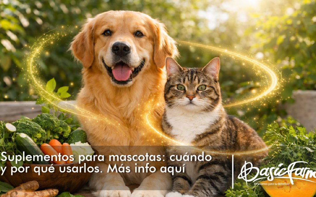 Suplementos para mascotas: cuándo y por qué usarlos