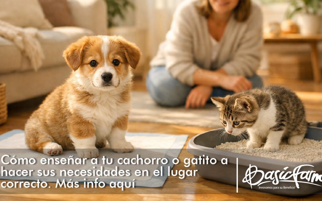 Cómo enseñar a tu cachorro o gatito a hacer sus necesidades en el lugar correcto (sin perder la paciencia)