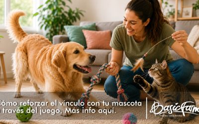 Cómo reforzar el vínculo con tu mascota a través del juego