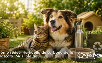 Cómo reducir la huella de carbono de tu mascota